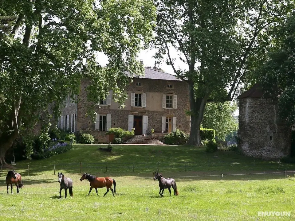 Domaine La Bonne Etoile - Öne Çıkan Resim