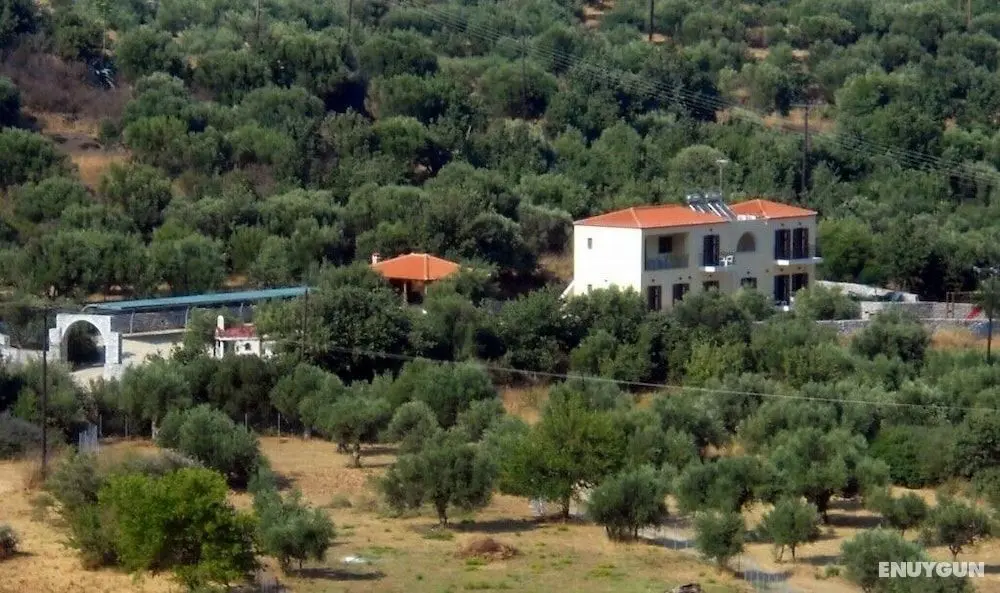 Domaine Papakonstantis Apartments To Let - Öne Çıkan Resim