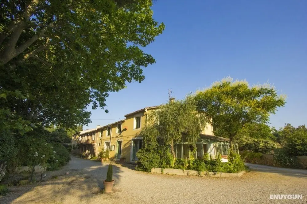 Domaine Sainte Marie Des Ollieux - Öne Çıkan Resim