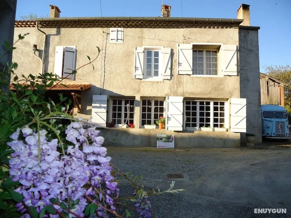 Domaine Thomson - Öne Çıkan Resim