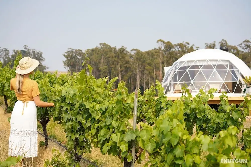 Domescapes in the Vines - Dış Mekan