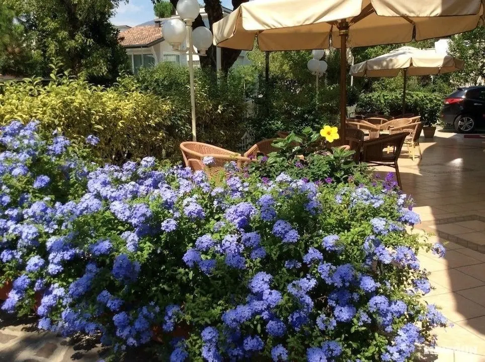 The Donatello Hotel Cesenatico - Öne Çıkan Resim
