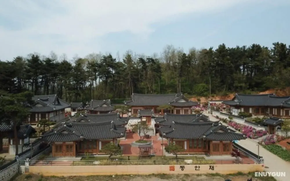 Donghae Hanok Donganjae Pension - Misafir Tesisleri ve Hizmetleri
