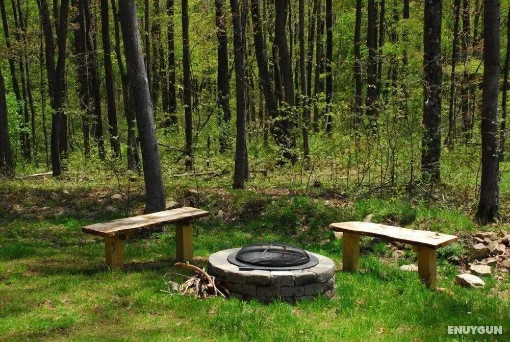 Donovan's Dacha - Dış Mekan
