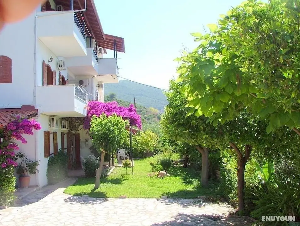 Dora Studios - Öne Çıkan Resim