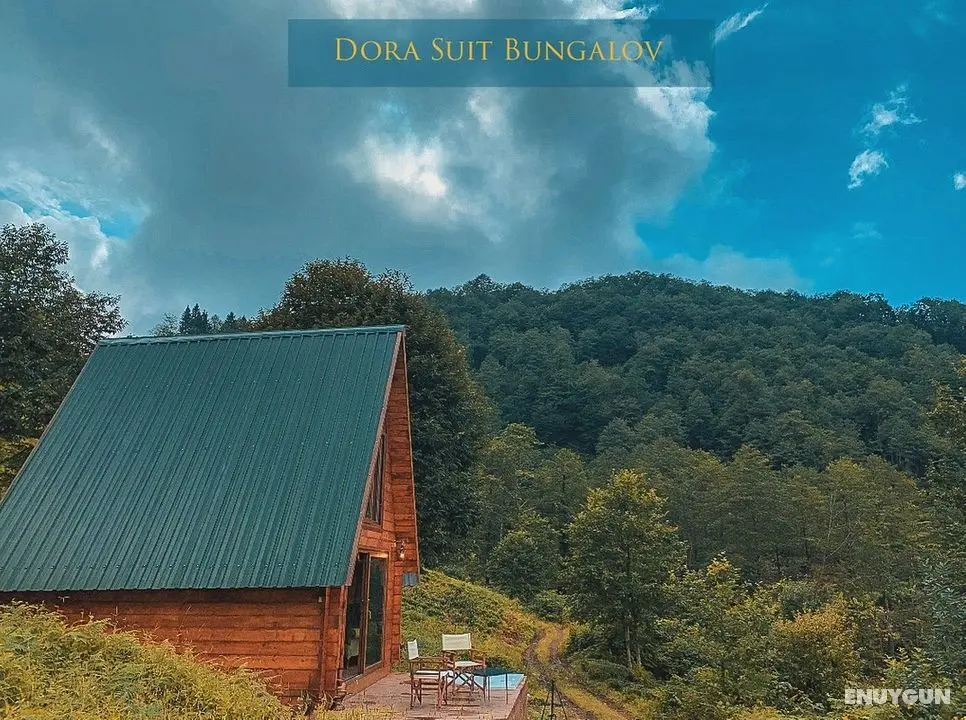 Dora Suit Bungalov - Genel