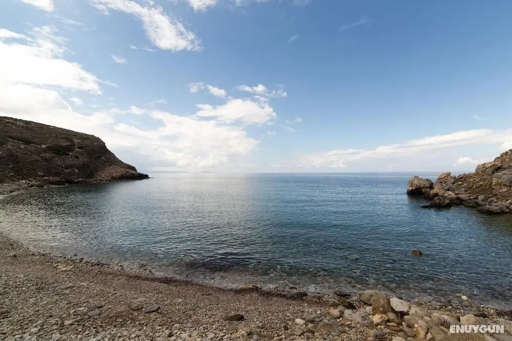 Villa Dori- Famous Composer's Holiday House on the Sea Front for 2-8 Persons - Öne Çıkan Resim