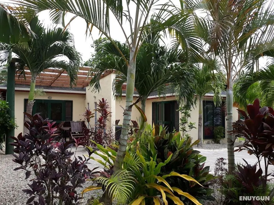 Dorothy's Muri Beach Bungalows - Oda Manzaraları
