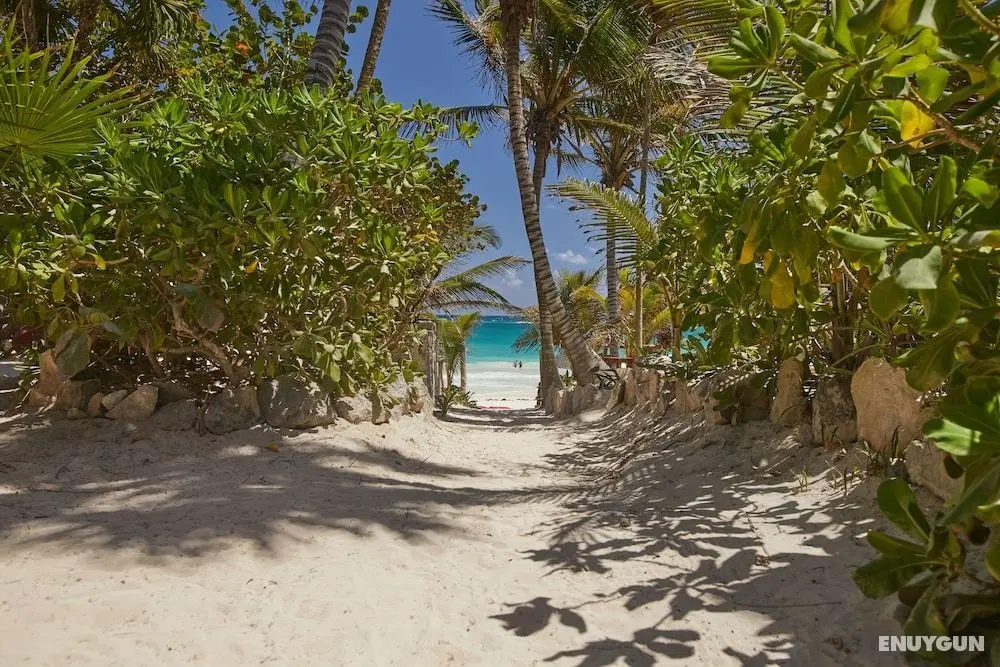 Dos Ceibas Tulum Feel Good Hotel - Öne Çıkan Resim