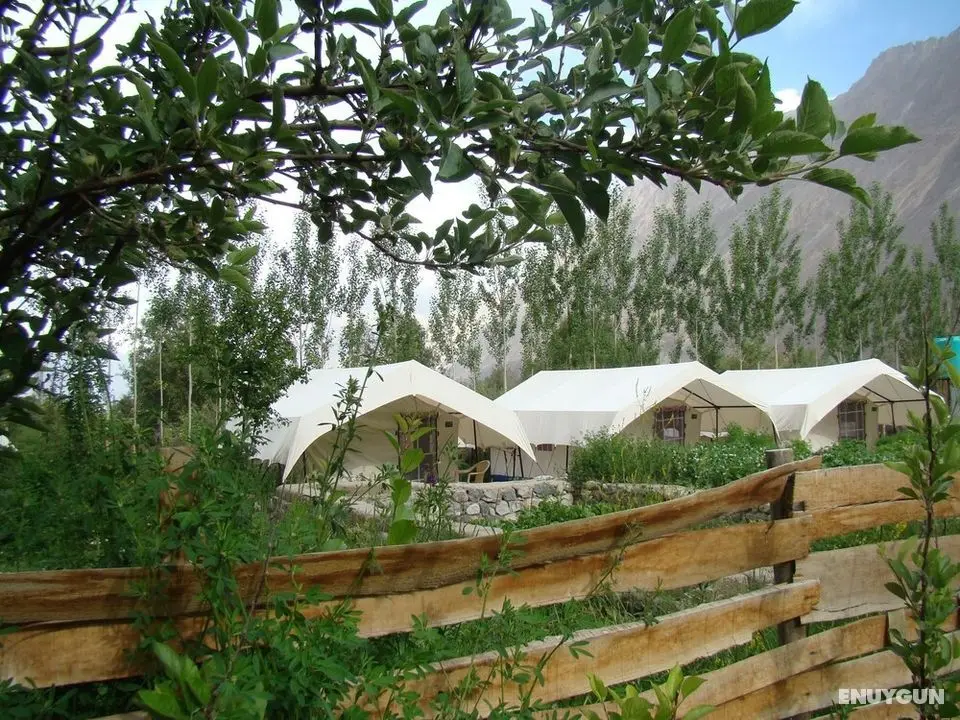 Double Humped Camp - Hunder - Öne Çıkan Resim
