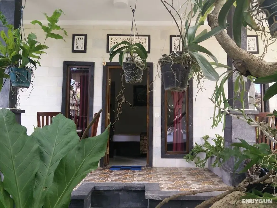 Double N Guesthouse - Öne Çıkan Resim