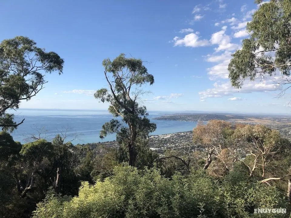 Dream Views at Arthurs Seat B&B - Öne Çıkan Resim
