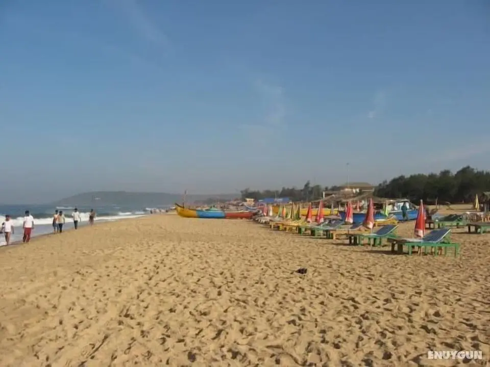 Dreams Palm Beach Resort - İlgi Noktası