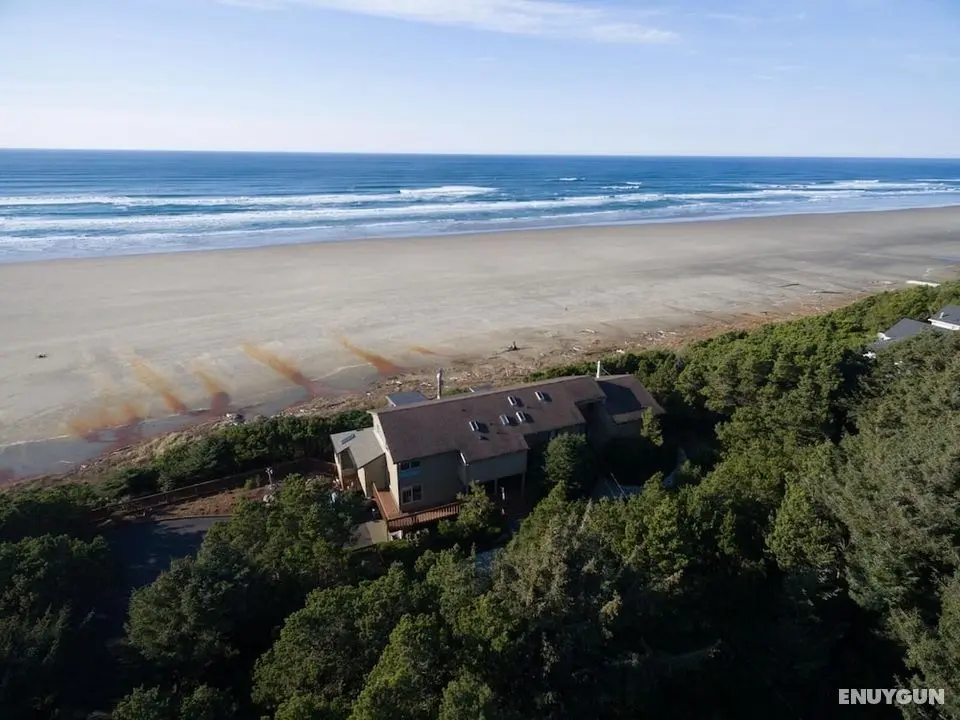 Driftwood Beach Guest House - Öne Çıkan Resim