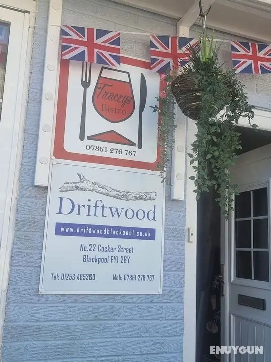 Driftwood Hotel - Öne Çıkan Resim