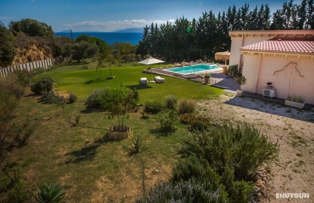 Driftwood Villa - Öne Çıkan Resim