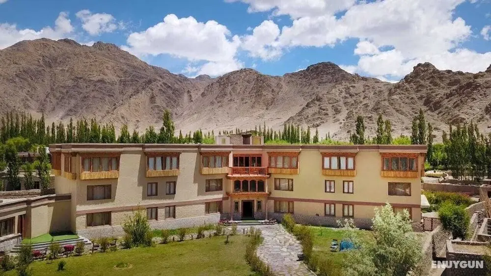 The Driftwood Ladakh - Öne Çıkan Resim