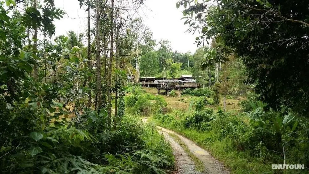 drmind farm - Öne Çıkan Resim