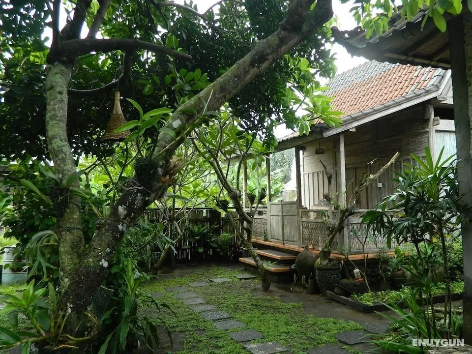 D'tegale Homestay - Oda Düzeni