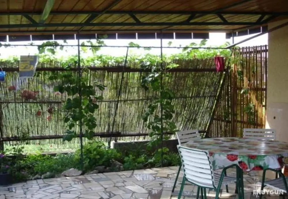 Dvor - 20 m From Beach - A1 - Öne Çıkan Resim