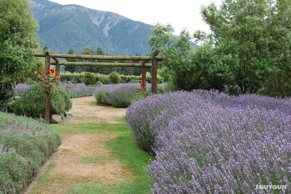 Dylans Country Cottages - Dış Mekan