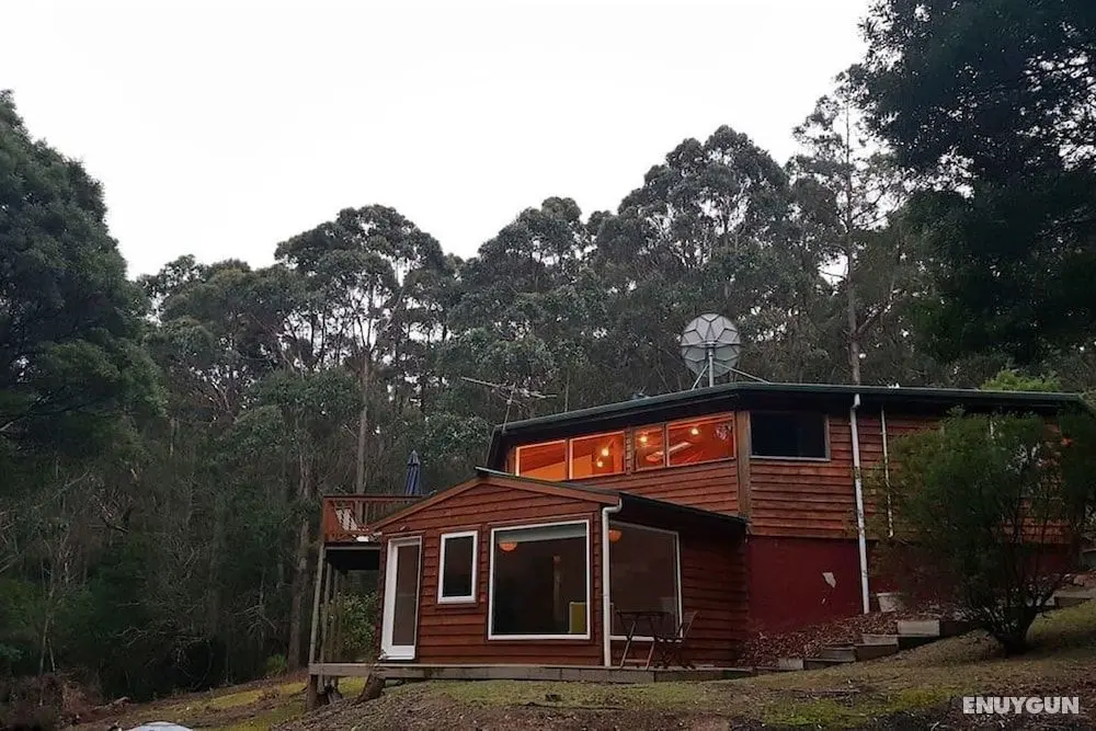Eaglehawk Rainforest Retreat - Dış Mekan