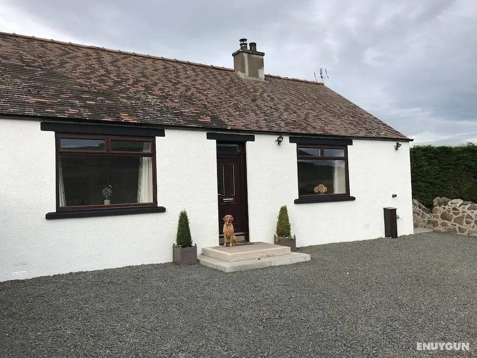 East Cottage, Parbroath Farm Near Cupar in Fife - Öne Çıkan Resim