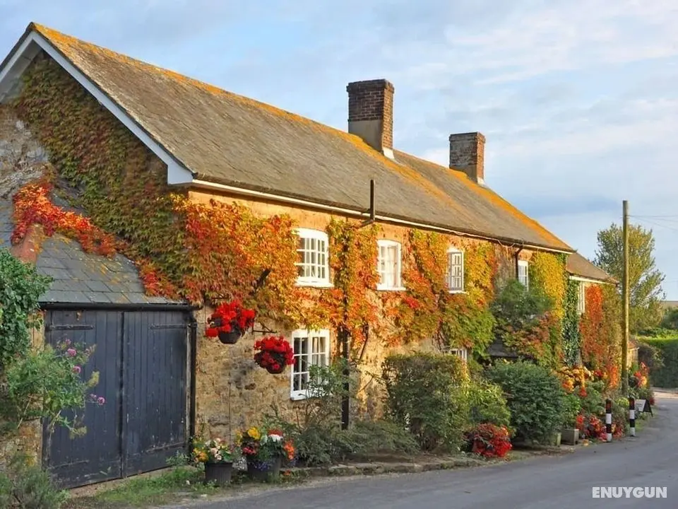 East Farm House B&B - Öne Çıkan Resim