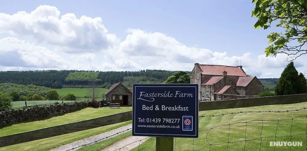 Easterside Farm bed & Breakfast - Öne Çıkan Resim