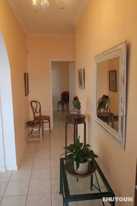 Echo Cottage in Cape Town, South Africa - Öne Çıkan Resim