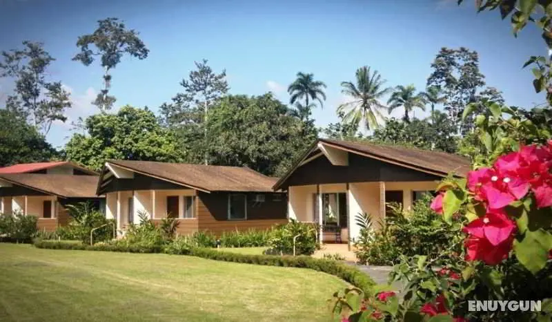 Hotel Eco Arenal - Genel