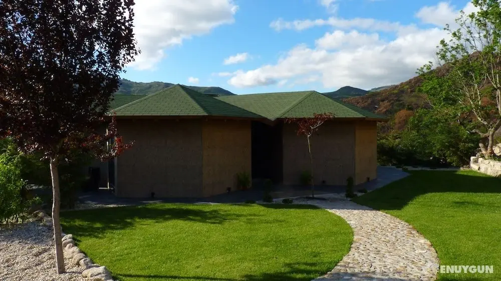 Eco-Bungalow - Dış Mekan
