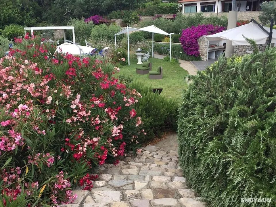Ecoresort Casa degli Ulivi - Öne Çıkan Resim