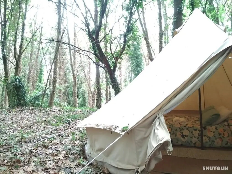 Eco-hostel Quinta das Relvas - Oda