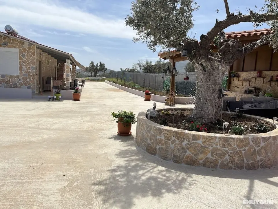 Eco Studio Flat Kalyvia Thorikou, Greece - Öne Çıkan Resim