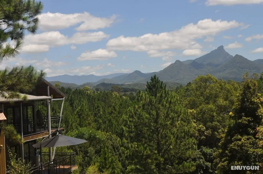 Ecoasis Wellness Sanctuary - Öne Çıkan Resim