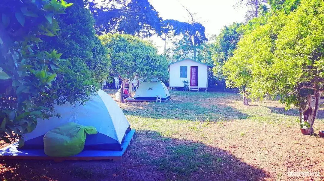 Ecofarm Campbungalow - Genel