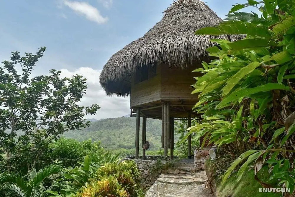 Ecohabs Bosques del Tayrona - Öne Çıkan Resim