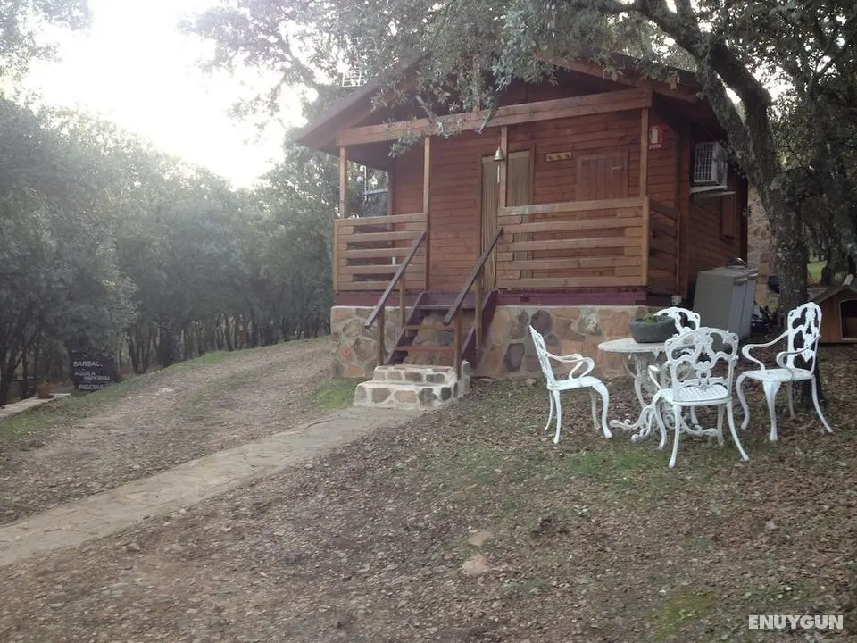 Ecolodge Cabañeros - Dış Mekan