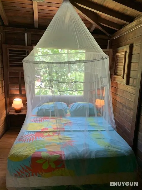 ecolodge Martinique - Oda