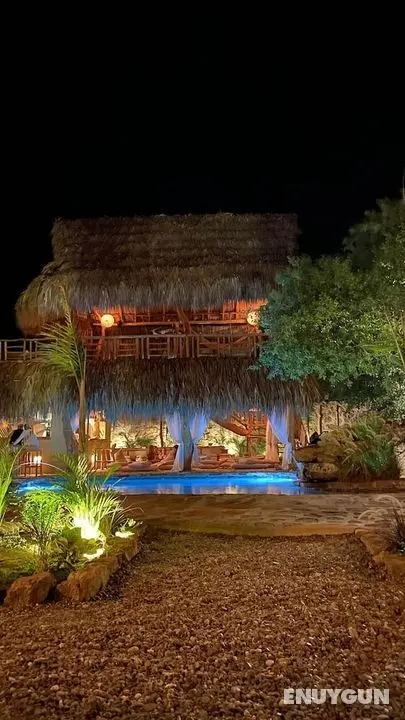 Ecoxata - Adults Only - Öne Çıkan Resim