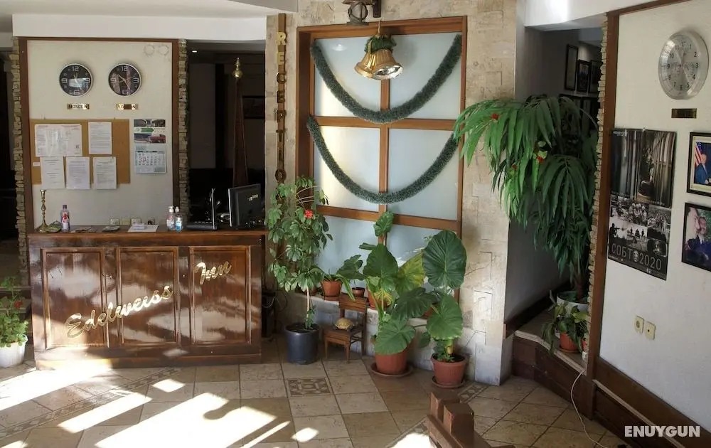 Edelweiss Inn Aparthotel - Lobi