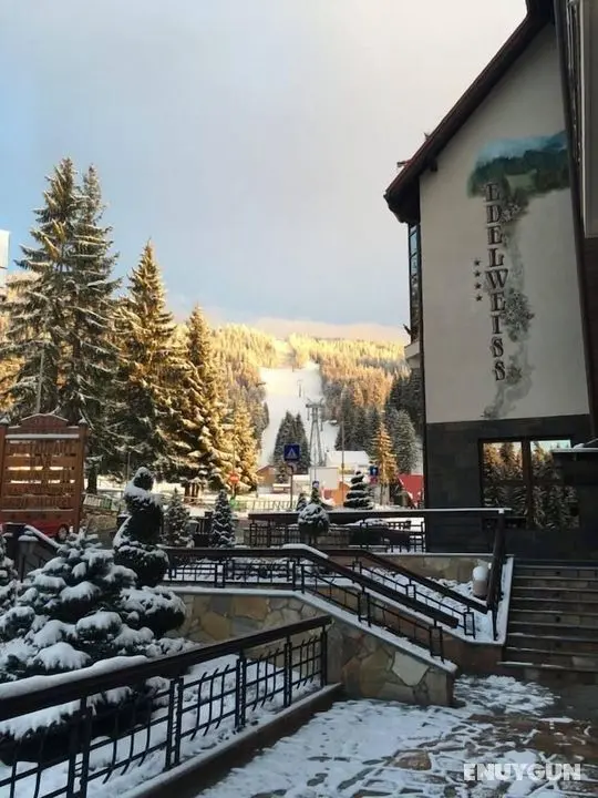 Hotel Edelweiss - Öne Çıkan Resim