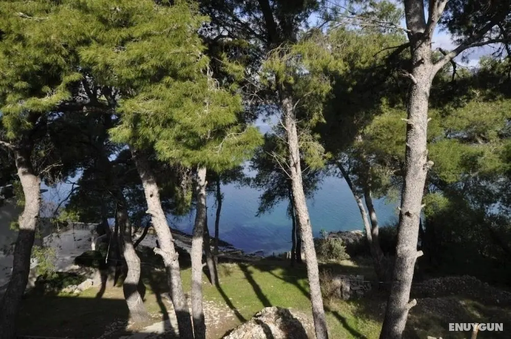 Eden - 30m From the sea - A1 - Öne Çıkan Resim