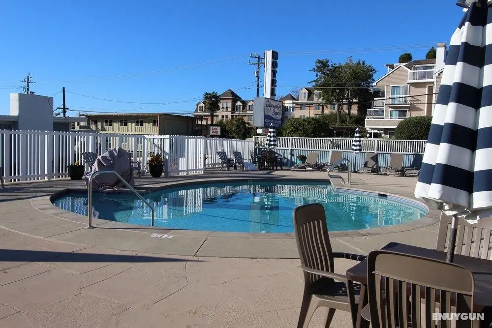 Edgewater Beach inn and suites - Havuz