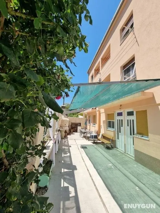 Edvard - Garden Terrace - Sa1- Zeleni - Öne Çıkan Resim