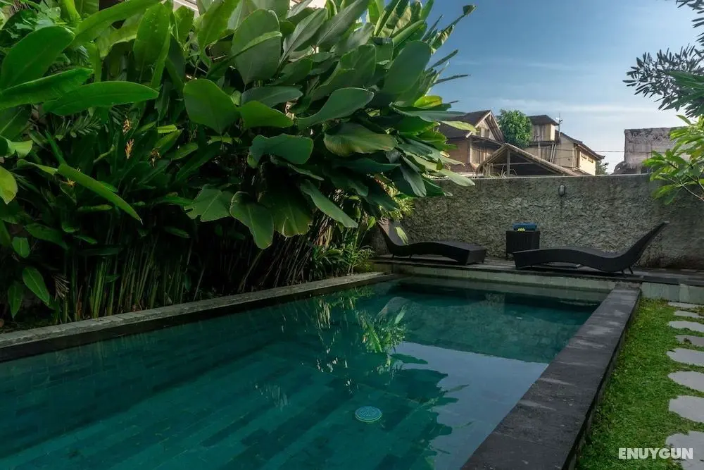Eka Bali Guest House - Öne Çıkan Resim