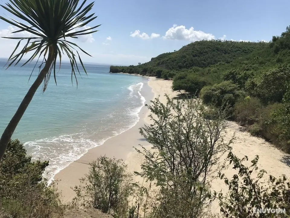 Ekas Surf Resort - Öne Çıkan Resim