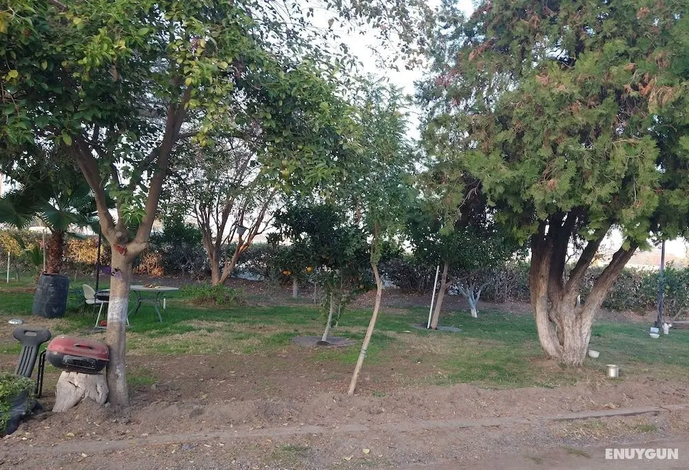 EL Amigo Motel - Oda Düzeni
