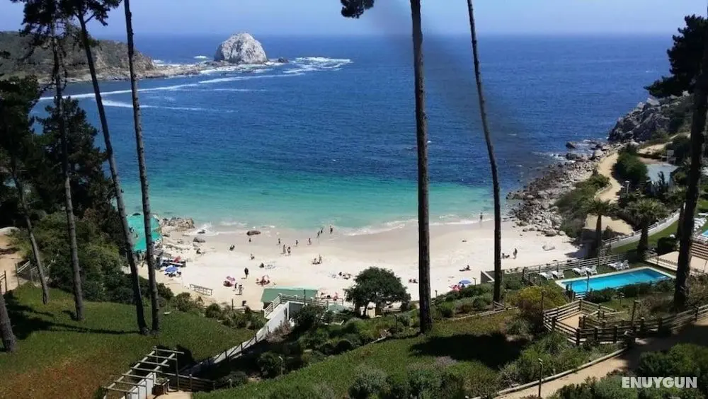 El Canelo, Algarrobo, Chile - Plaj